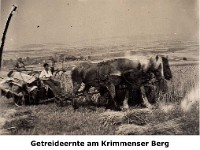 l26- Getreideernte-am-Krimmenser-Berg